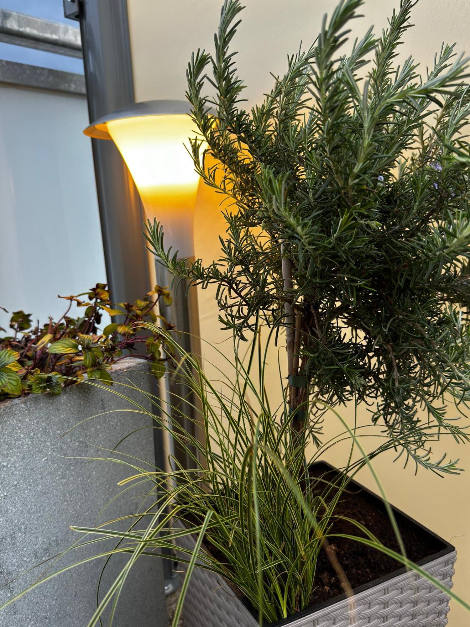 Ferienwohnung-Koenigsschloesser フュッセン エクステリア 写真